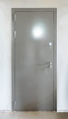 Порошковая дверь в новостройке (г. Истра) Порошковая дверь в новостройке (г. Истра)